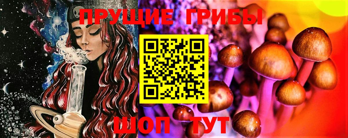 Можайск  где продают   Галлюциногенные грибы Cubensis  Вход с VPN  Галлюциногенные грибы MAGIC MUSHROOMS 